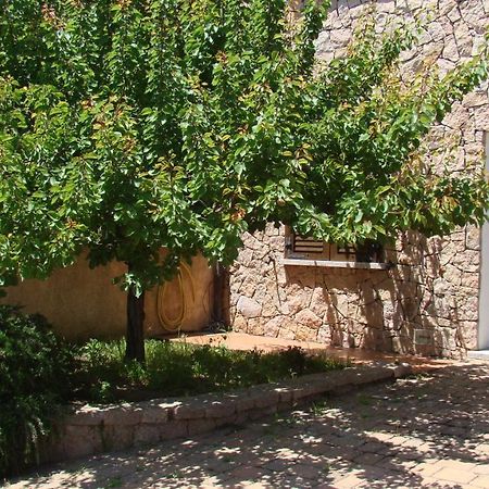 Appartement Bella Casa Con Giardino A 10 Minuti Dal Mare à Aglientu Extérieur photo