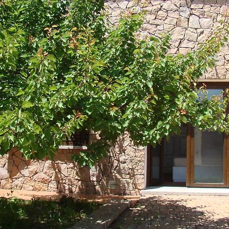 Appartement Bella Casa Con Giardino A 10 Minuti Dal Mare à Aglientu Extérieur photo