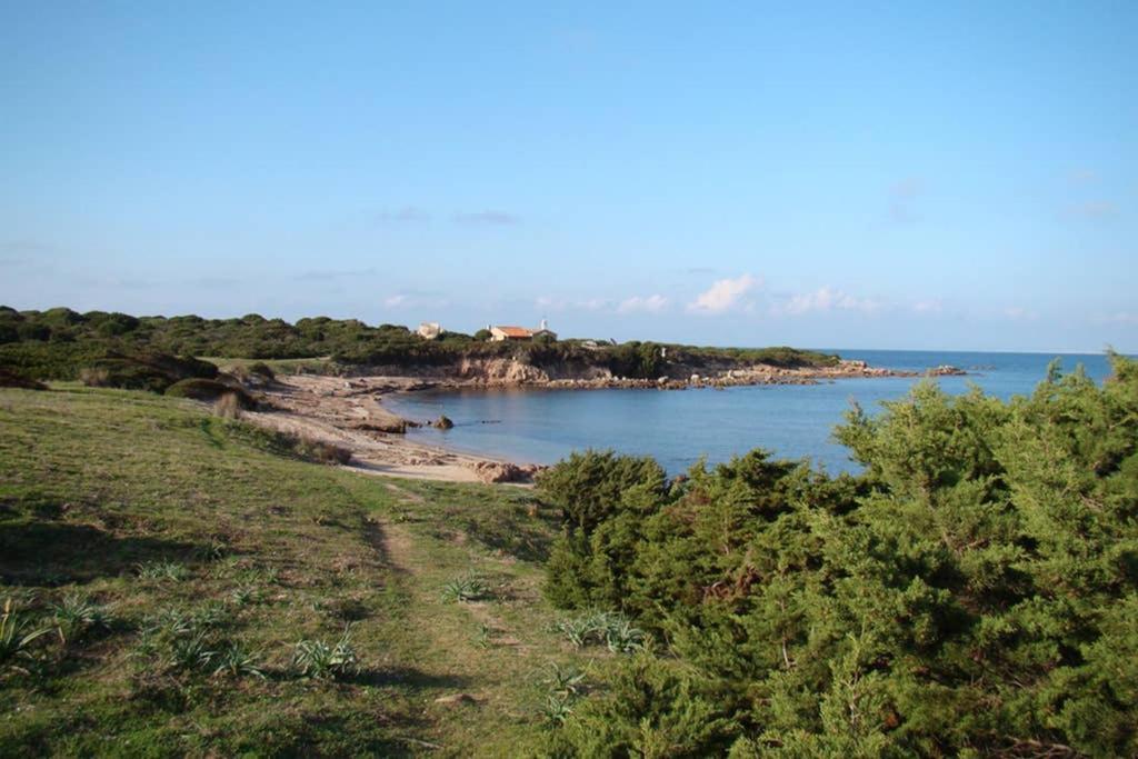 Appartement Bella Casa Con Giardino A 10 Minuti Dal Mare à Aglientu Extérieur photo